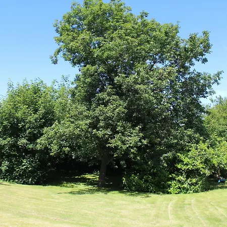 Amazing In With 3 Bedrooms, Sauna And Internet Ebeltoft